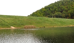 Safe Levee